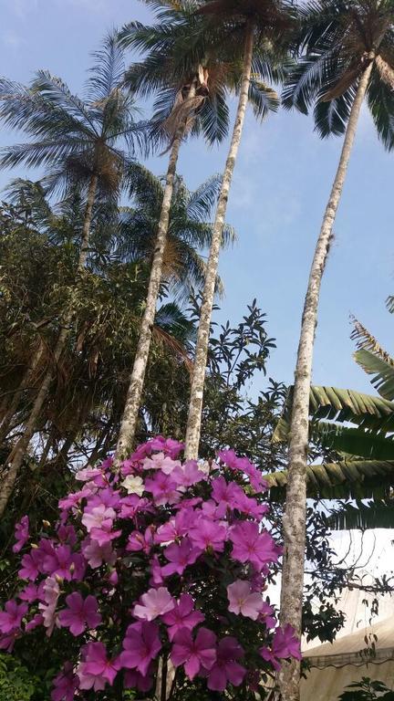 Casa Cravo & Canela Sao Pedro da Serra  Dış mekan fotoğraf